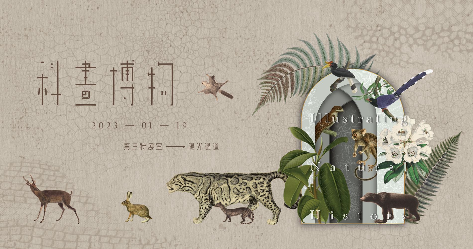 科博館《科畫博物特展》邀您領「繪」科學之美活動資訊